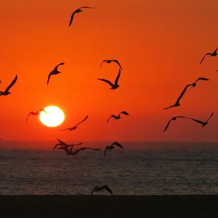 Serenabeach Apartment *