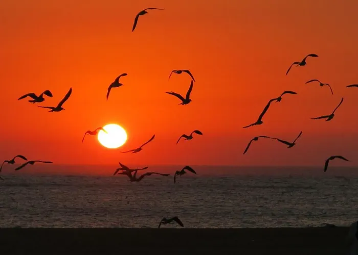 Serenabeach Apartment *